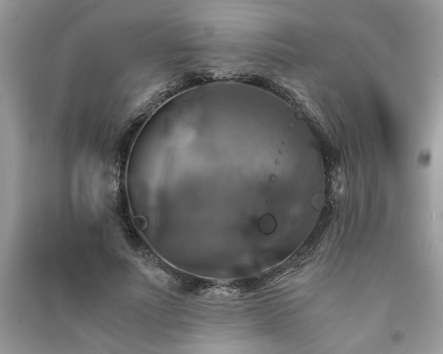 X0000091080691200708131256