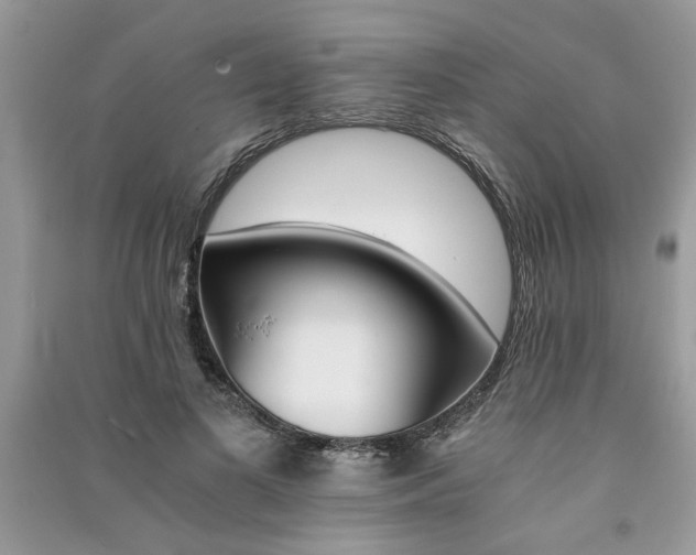 X0000091080693200708131256