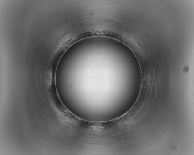 X0000091080694200708131256