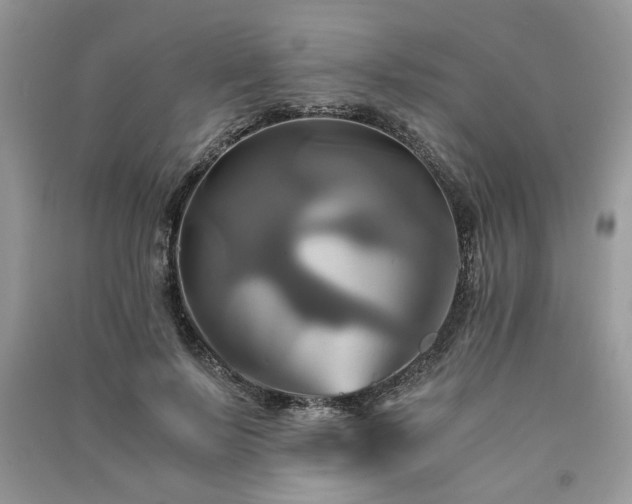 X0000091080695200708131256