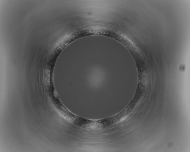 X0000091080696200708131256