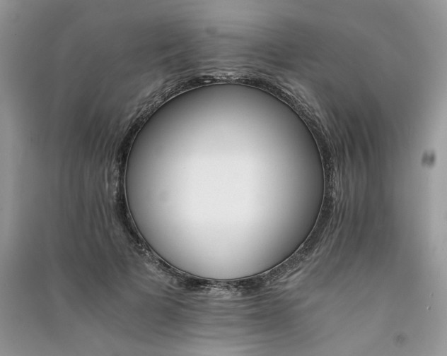 X0000091080697200708131256