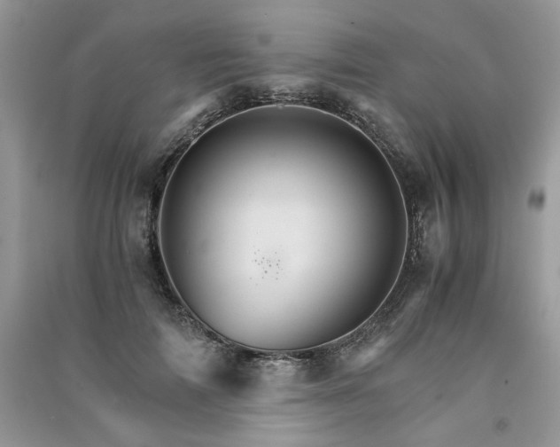 X0000091080698200708131256