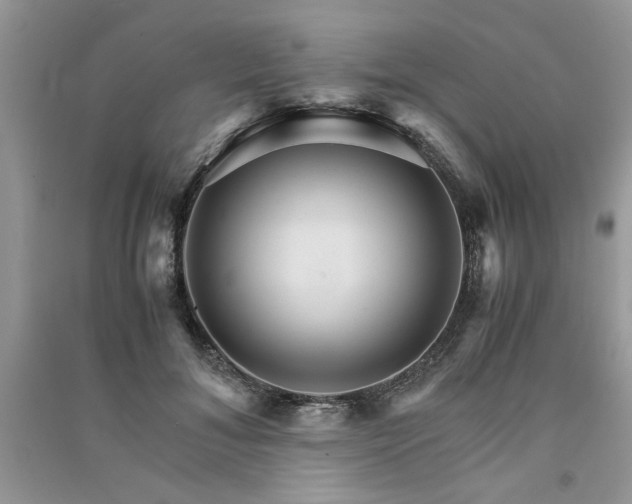 X0000091080700200708131256