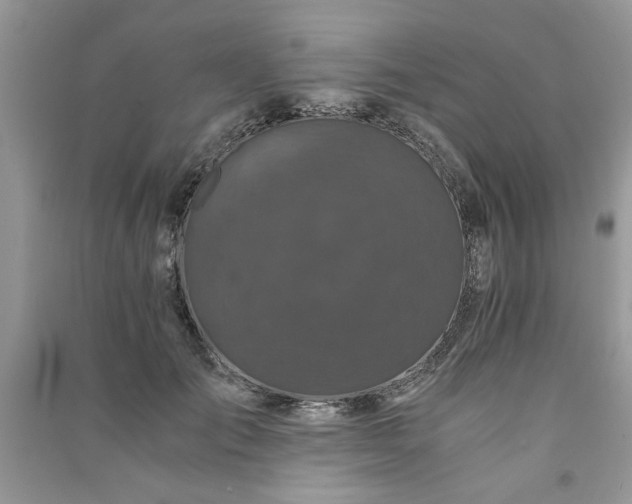 X0000091080701200708131256