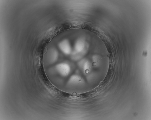 X0000091080703200708131256