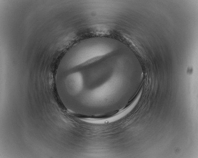 X0000091080704200708131256