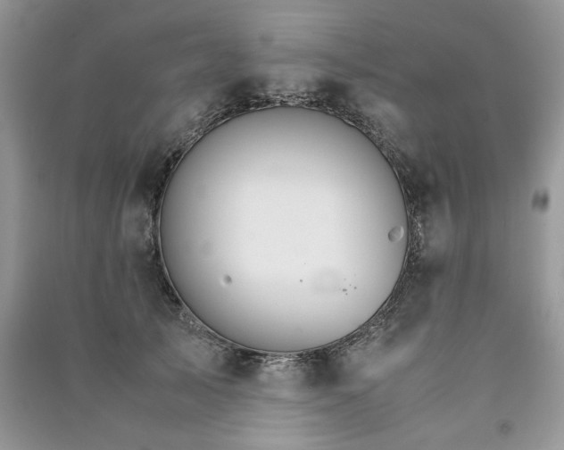 X0000091080705200708131256