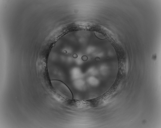 X0000091080707200708131256