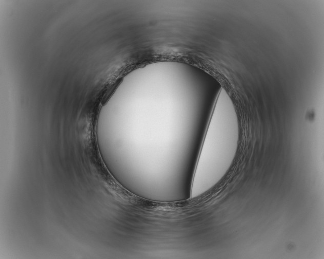 X0000091080708200708131256