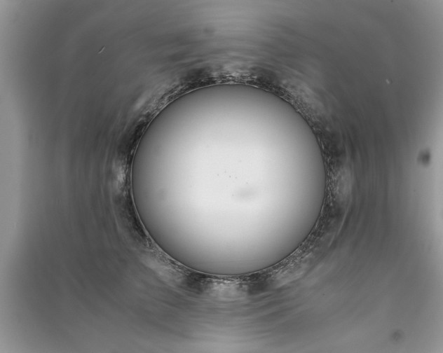 X0000091080709200708131256