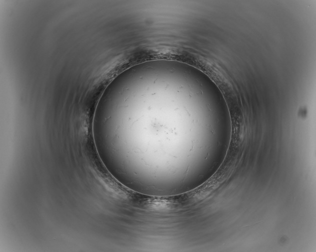 X0000091080710200708131256