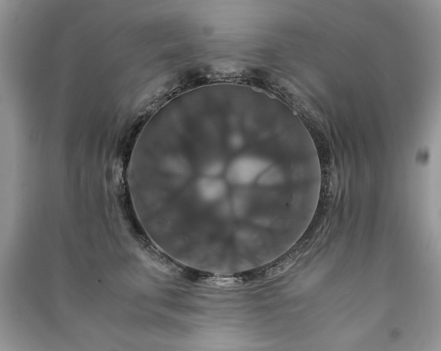 X0000091080711200708131256