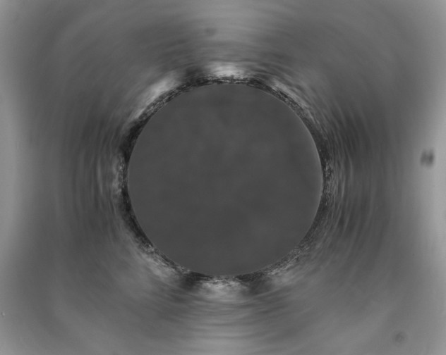 X0000091080712200708131256