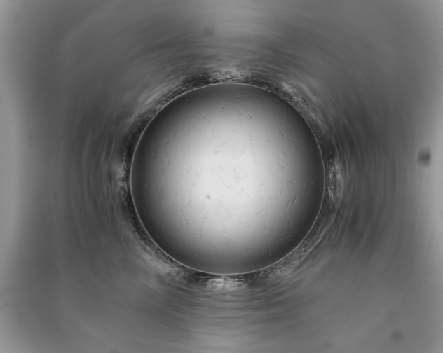 X0000091080714200708131256