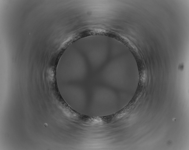 X0000091080715200708131256