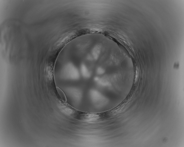 X0000091080719200708131256