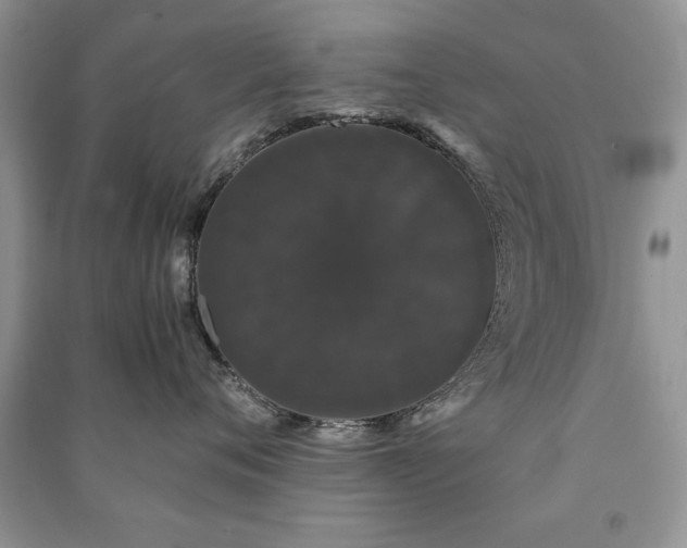 X0000091080720200708131256