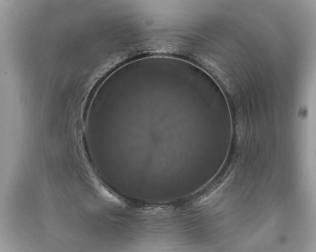 X0000091080721200708131255