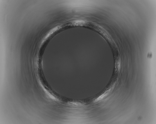 X0000091080722200708131255