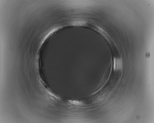 X0000091080723200708131255