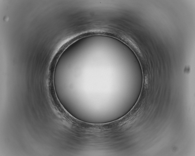 X0000091080724200708131255