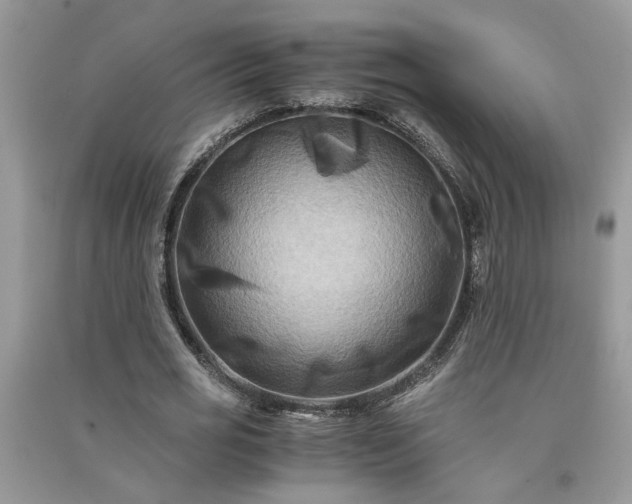 X0000091080725200708131255