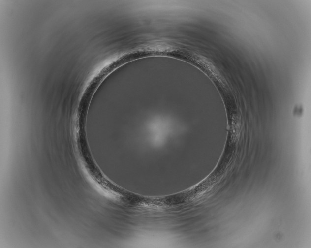 X0000091080726200708131255