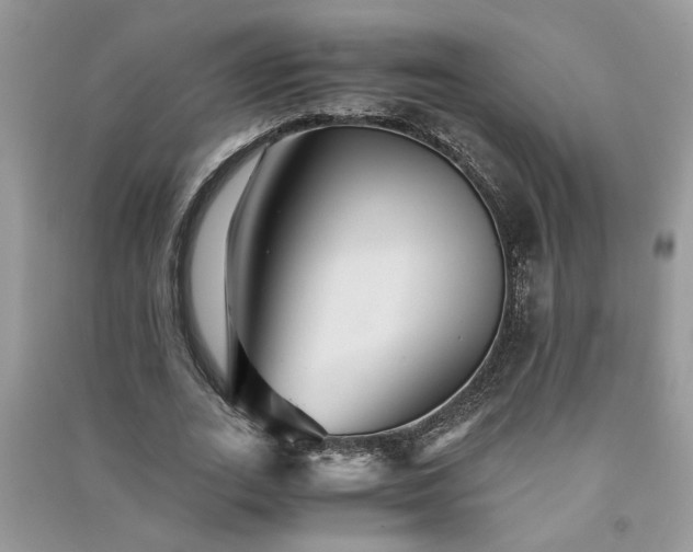 X0000091080727200708131255