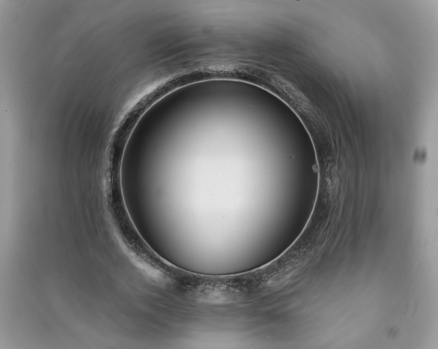 X0000091080728200708131255