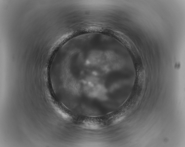 X0000091080729200708131255