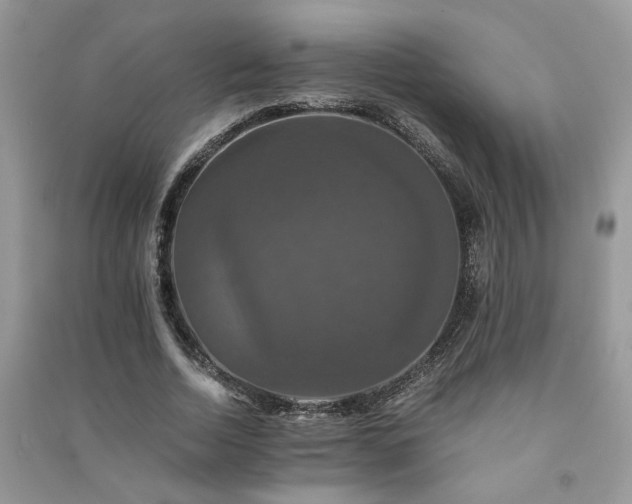 X0000091080730200708131255