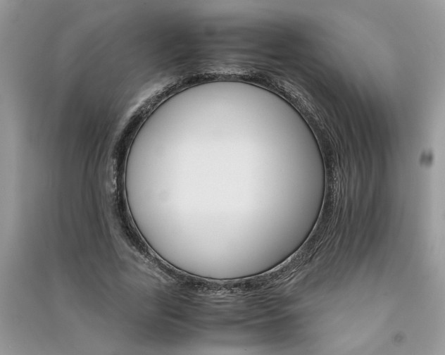 X0000091080731200708131255