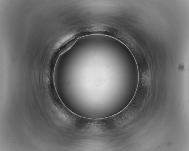 X0000091080732200708131255