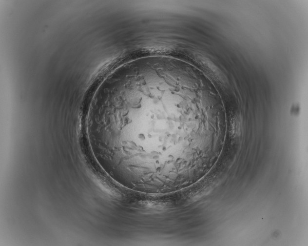 X0000091080733200708131255