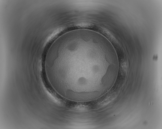 X0000091080734200708131255