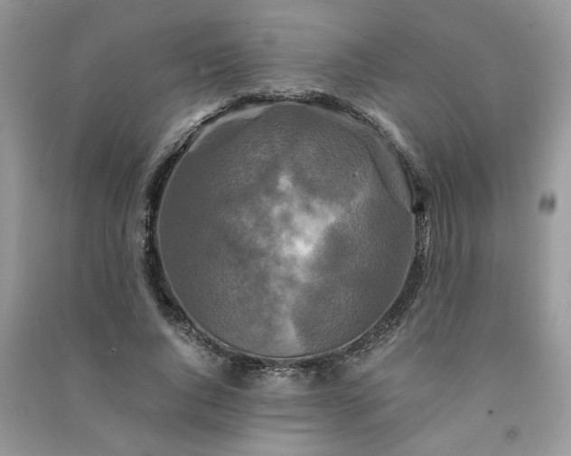 X0000091080736200708131255