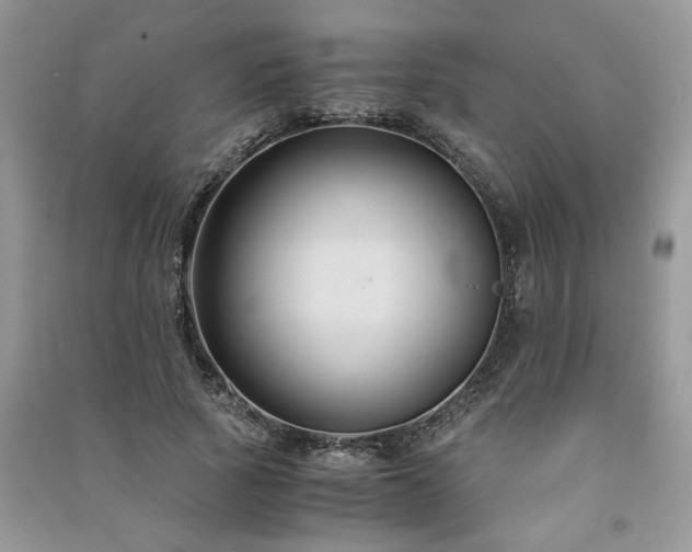 X0000091080737200708131255