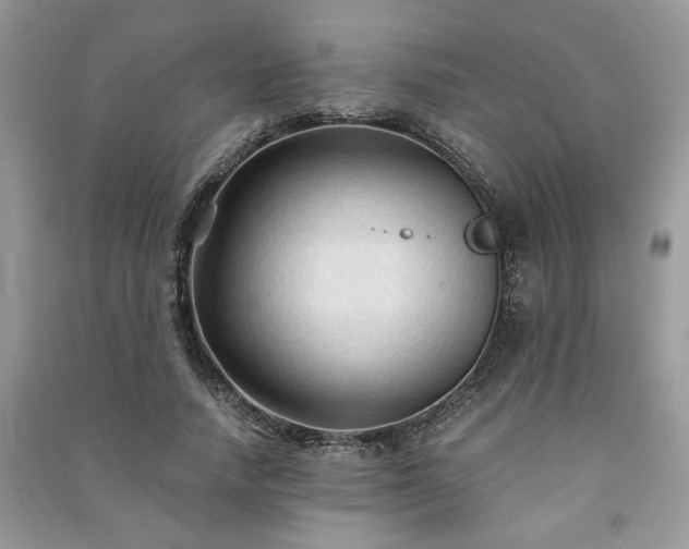 X0000091080738200708131255