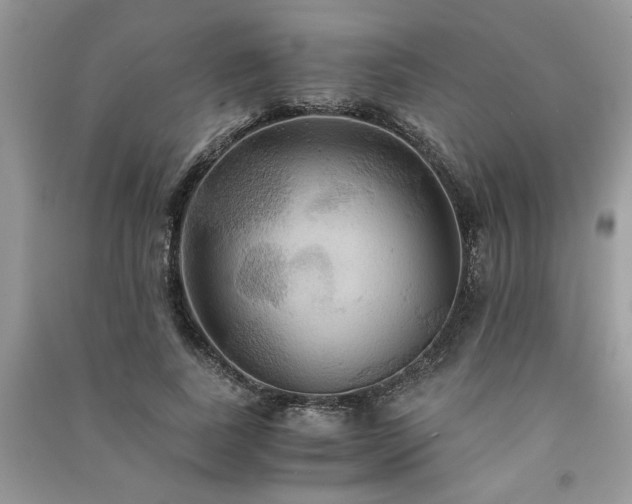 X0000091080739200708131255