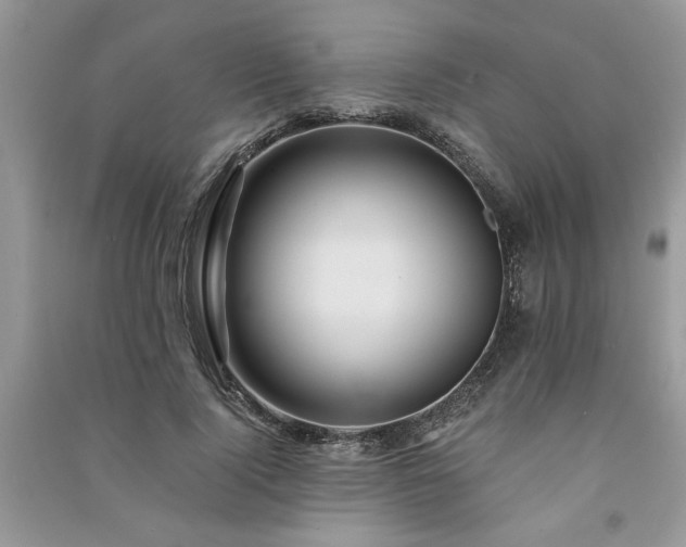 X0000091080740200708131255