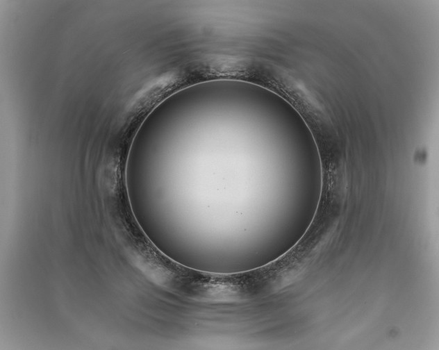 X0000091080741200708131255