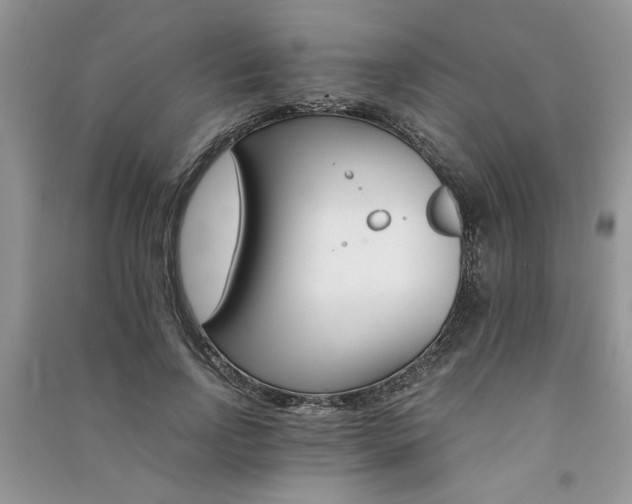 X0000091080742200708131256