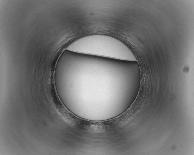 X0000091080744200708131256