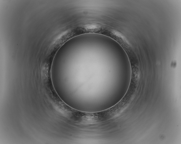 X0000091080745200708131256