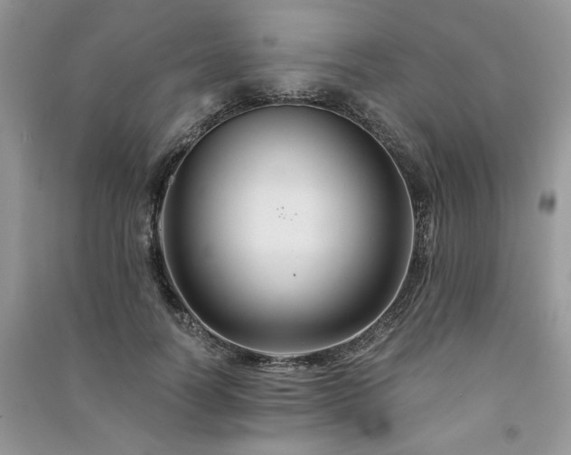 X0000091080746200708131256