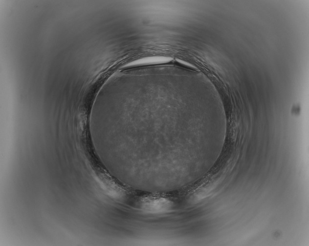 X0000091080747200708131256