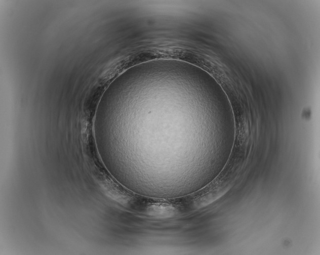 X0000091080749200708131256