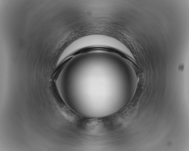 X0000091080750200708131256