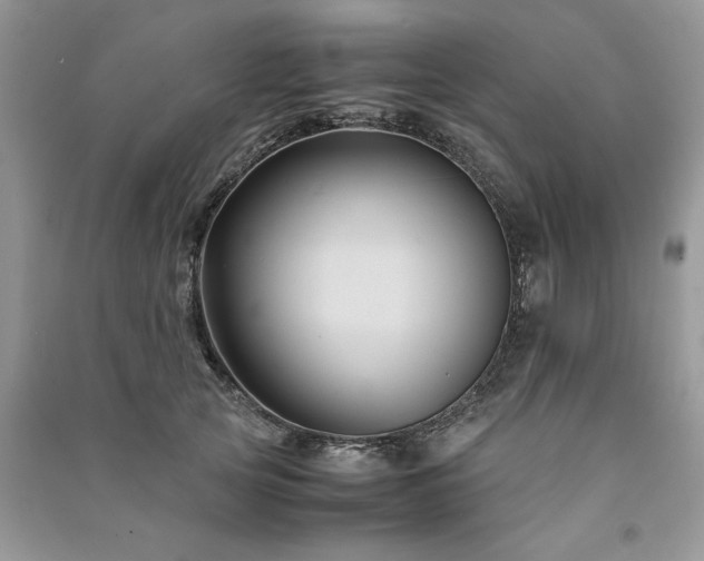 X0000091080753200708131256